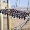 400kv Double Suspension String with Electric Power Fittings and Hardware Fittings - Image 3